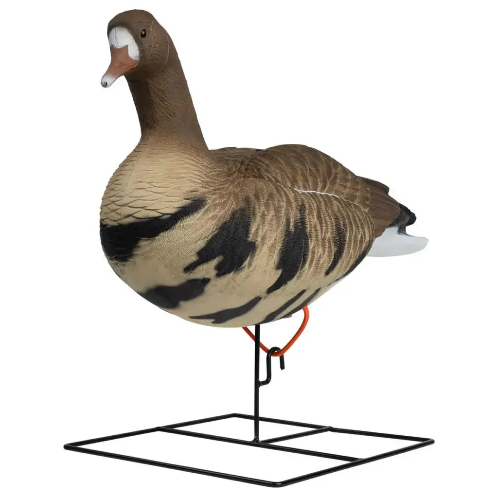 Ultimate Rugged Series Full Body Specklebelly Goose Decoys - 6 Pack - Korvel
