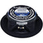 Audiopipe APMB8FLT 8" High-Performance Flat Speaker - 300W Power - Korvel