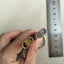 Premium Outdoor Survival Whistle