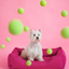 Cama para Perros Chester & Lee de Algodón - Rosa Berry
