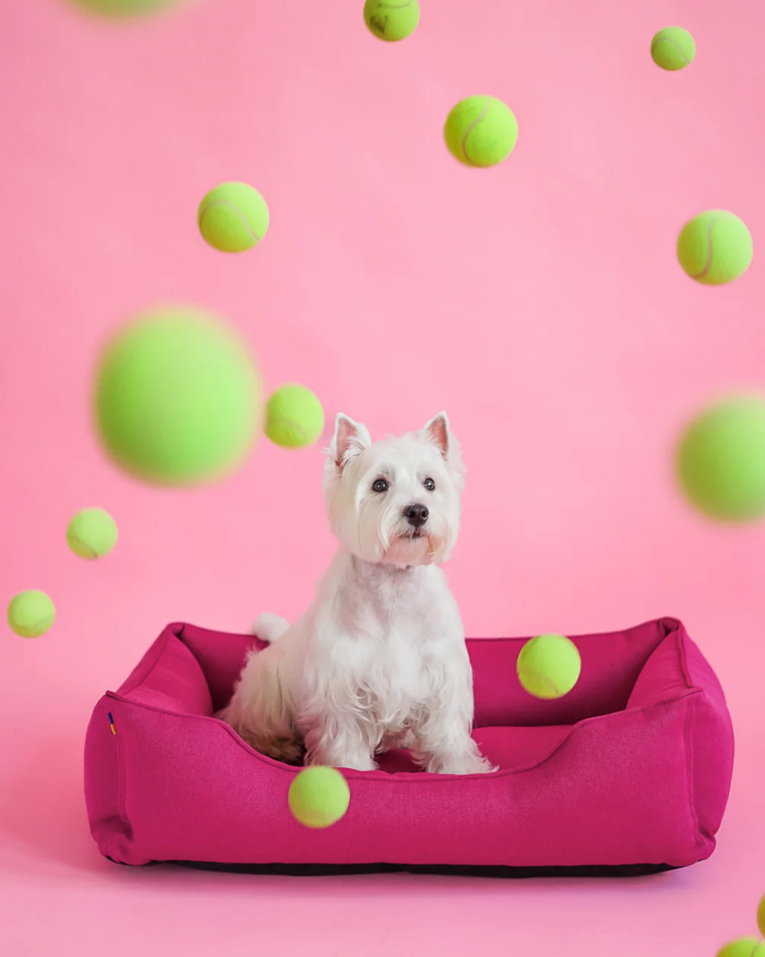 Cama para Perros Chester & Lee de Algodón - Rosa Berry