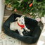 Luxurious Graphite Corduroy Dog Sleeper Bed