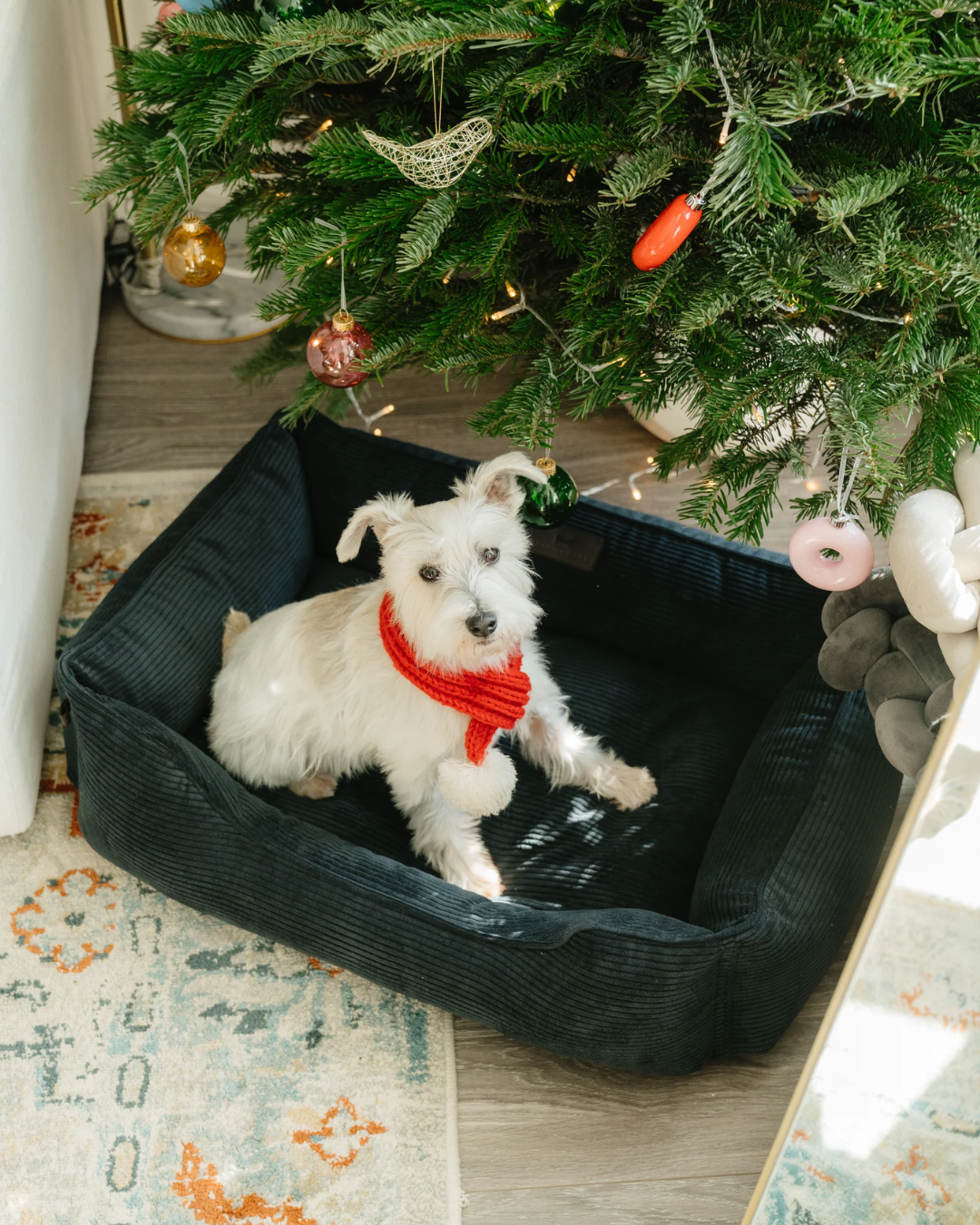 Luxurious Graphite Corduroy Dog Sleeper Bed
