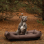 Cama para Perros Impermeable Listo para la Aventura en Marrón