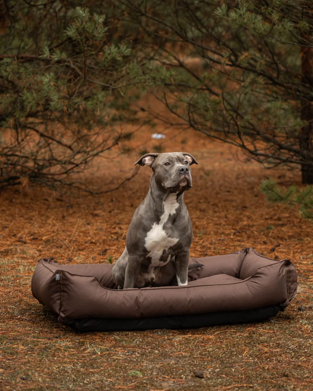 Cama para Perros Impermeable Listo para la Aventura en Marrón