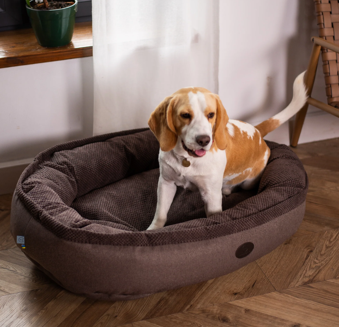 Luxurious Cuddly Bagel Dog Bed for Ultimate Comfort