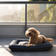 Premium Waterproof Lounger Dog Bed in Gray