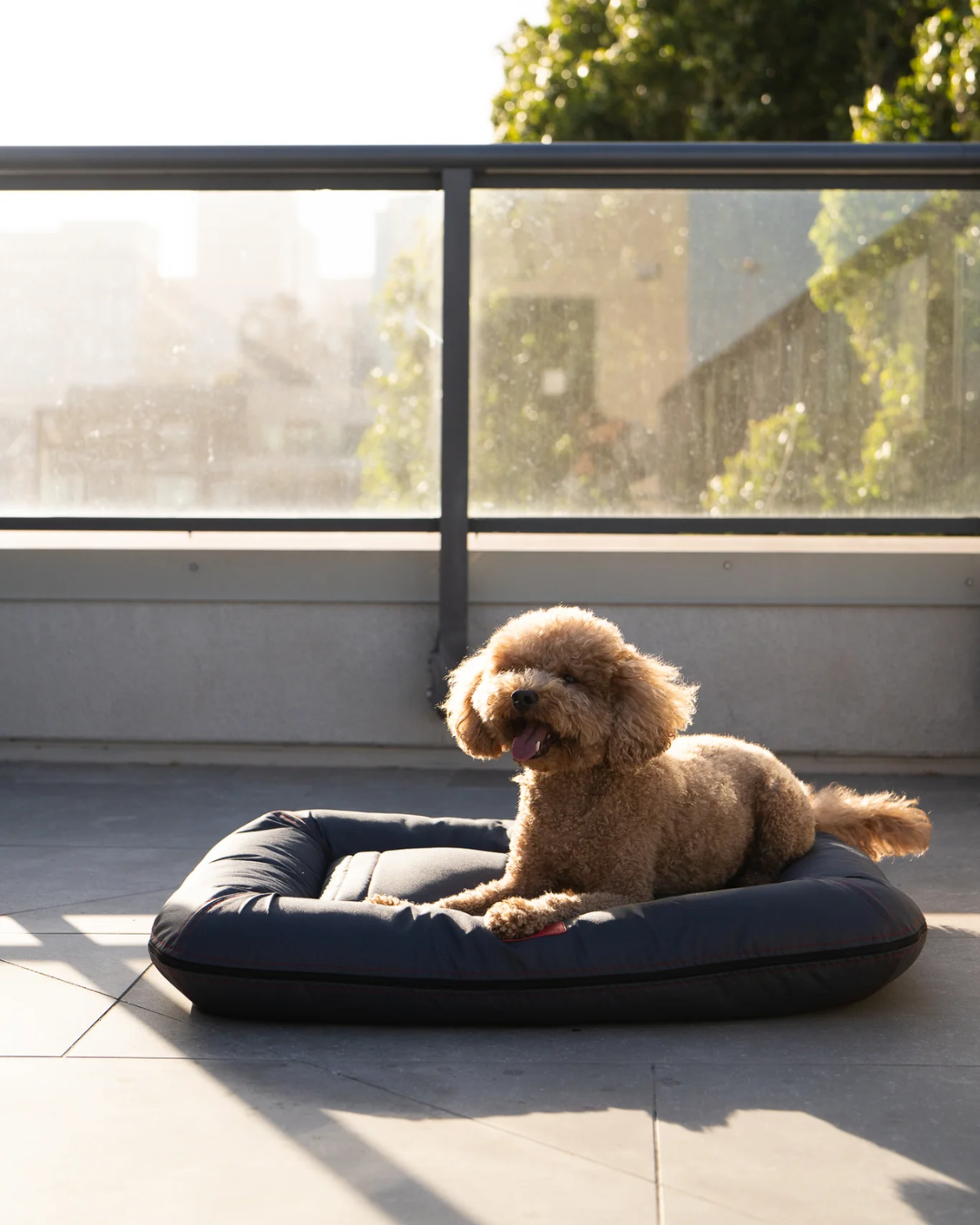 Premium Waterproof Lounger Dog Bed in Gray