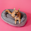 Lit pour chien douillet et enroulé