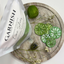 Sparkle Green Luster Dust Dried Lime Slices