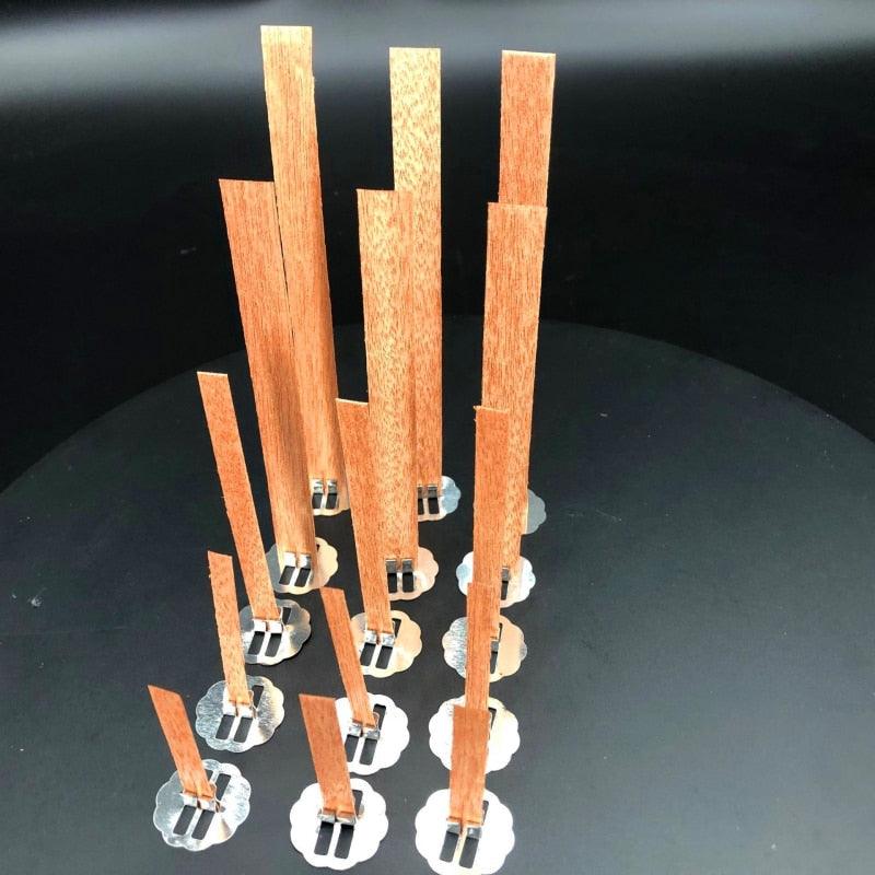 10pc Wooden Candle Wicks with Sustainer Tab for DIY Projects