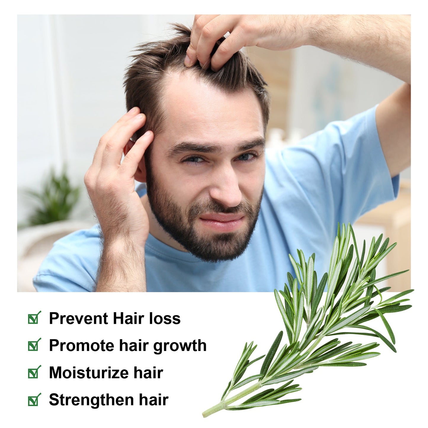 Rosemary Essential Oil, Repair Solid Hair Strong And Moisturizing Hair Roots Thick And Supple Hair Care Essential Oil - Korvel