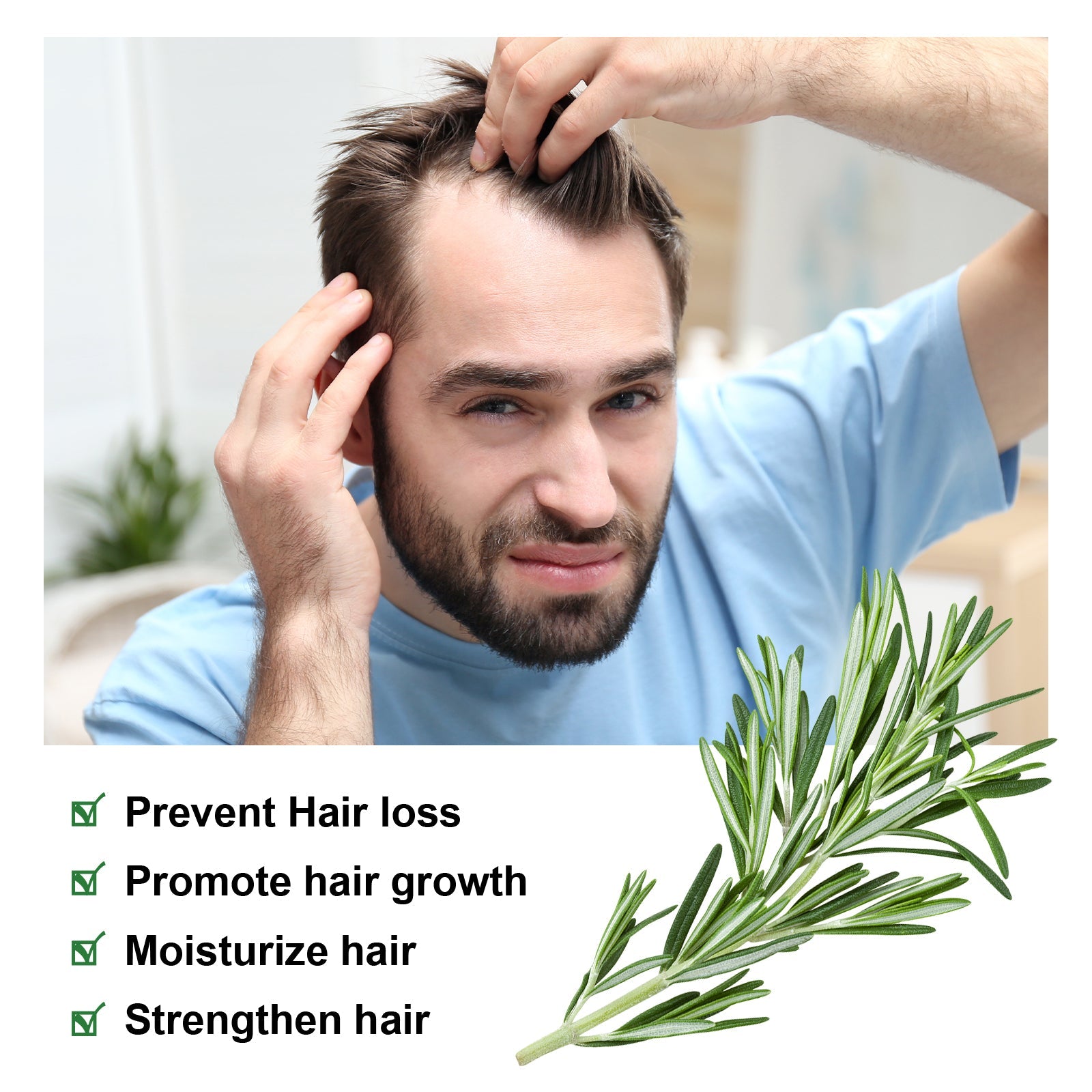 Rosemary Essential Oil, Repair Solid Hair Strong And Moisturizing Hair Roots Thick And Supple Hair Care Essential Oil - Korvel