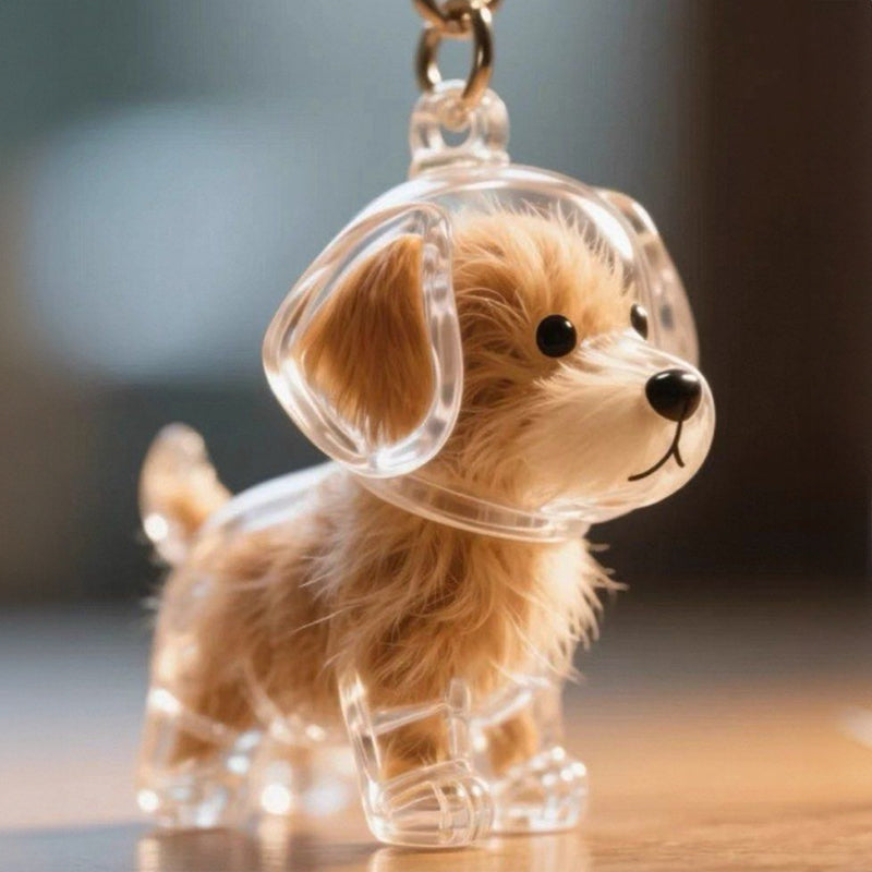 A transparent DIY pet hair memorial keychain box, a sweet keepsake for dog lovers. - Korvel