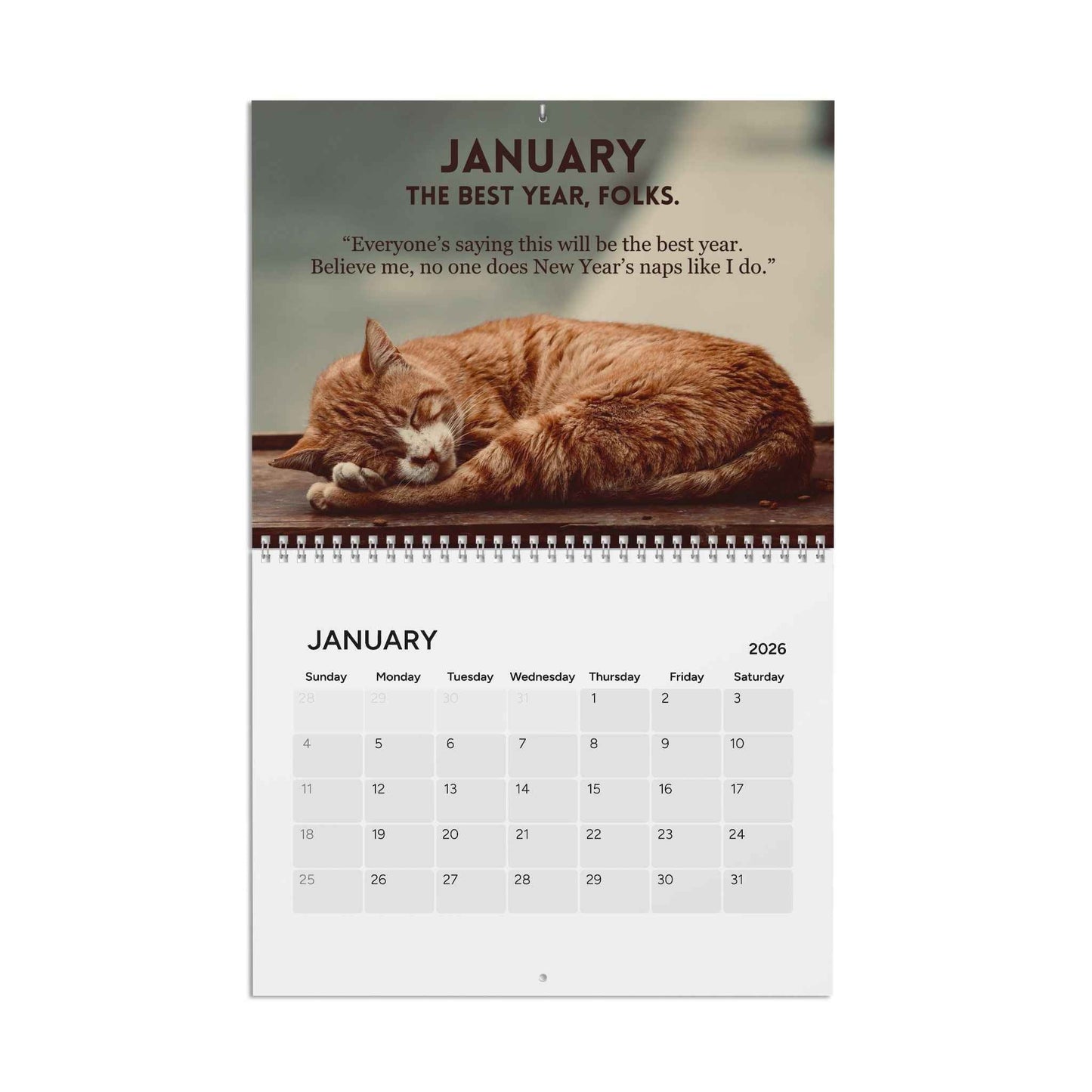 Calendrier 2026 L'Art du Ronronnement