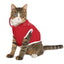 Make America Grumpy Again Cat Hoodie