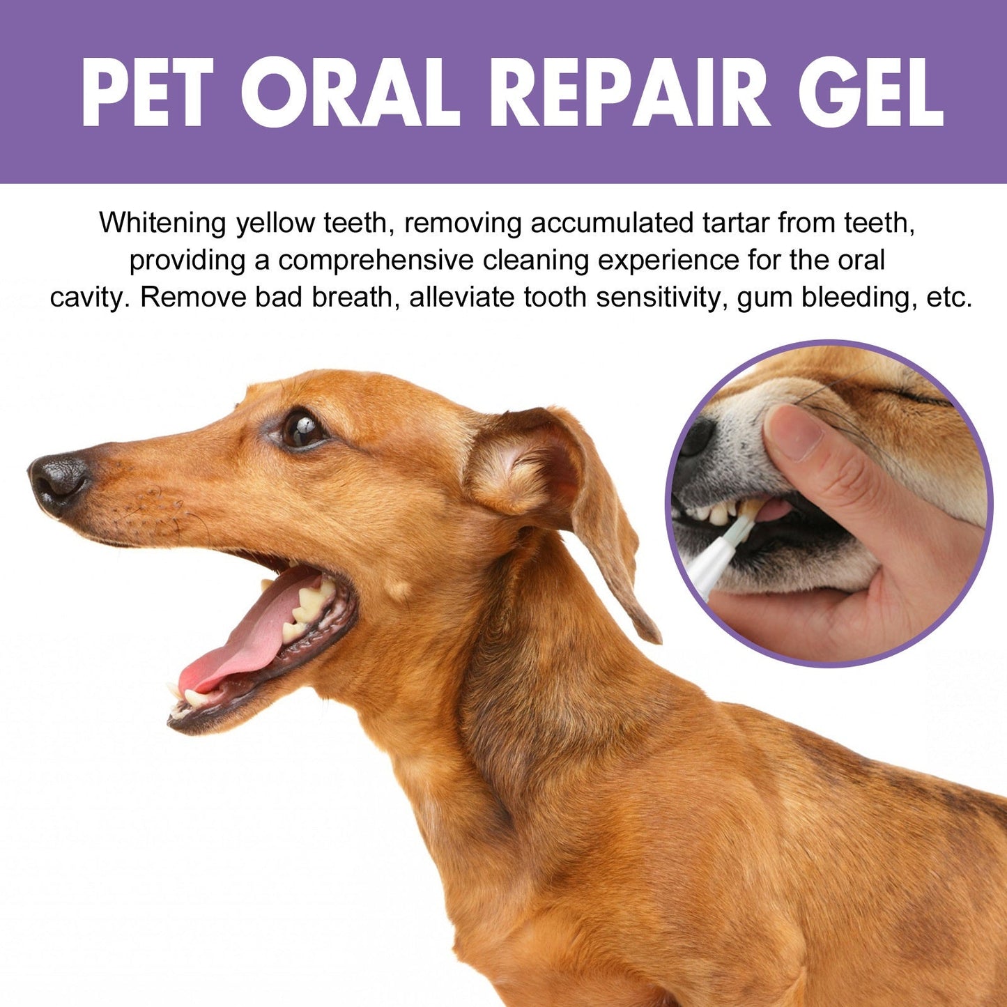 Pet Oral Care Gel for Deep Cleaning of Dog and Cat Teeth Stains and Oral Hygiene - Korvel