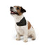 Love Line Art Dog Bandana – Elegant Pet Accessory