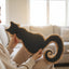 Cojín Silueta de Gato - Diseño Elegante para Espacios Modernos