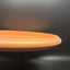 Woodland Acacia Full Color Disc Golf Putter