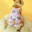 Pet Dog Physiological Pants Aunt Pants corgi - Korvel