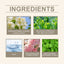 Charm Perfume Spray, Keep Fragrance Fresh And Elegant Wrist, Neck And Behind The Ears Charm Perfume Spray - Korvel