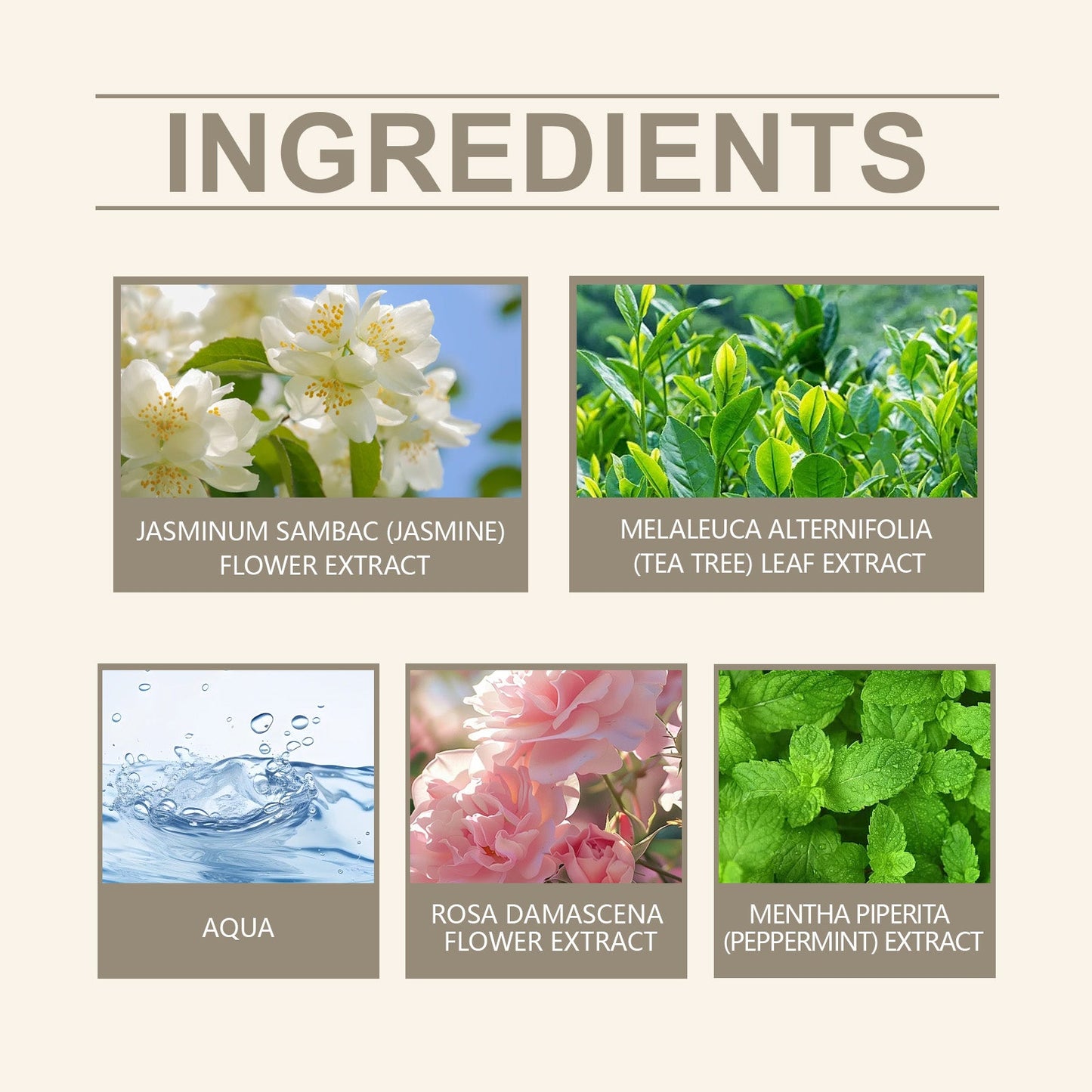 Charm Perfume Spray, Keep Fragrance Fresh And Elegant Wrist, Neck And Behind The Ears Charm Perfume Spray - Korvel