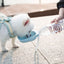 Bouteille d'eau portable Teddy pour animaux de compagnie