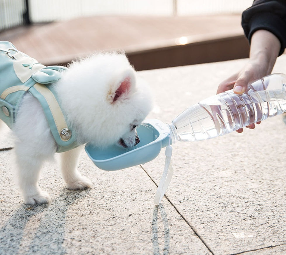 Bouteille d'eau portable Teddy pour animaux de compagnie