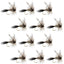 Adams Classic Dry Fly Collection - 12 Premium Size 10 Flies - Korvel