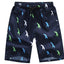 Quick Dry Printing Beach Jogger Shorts