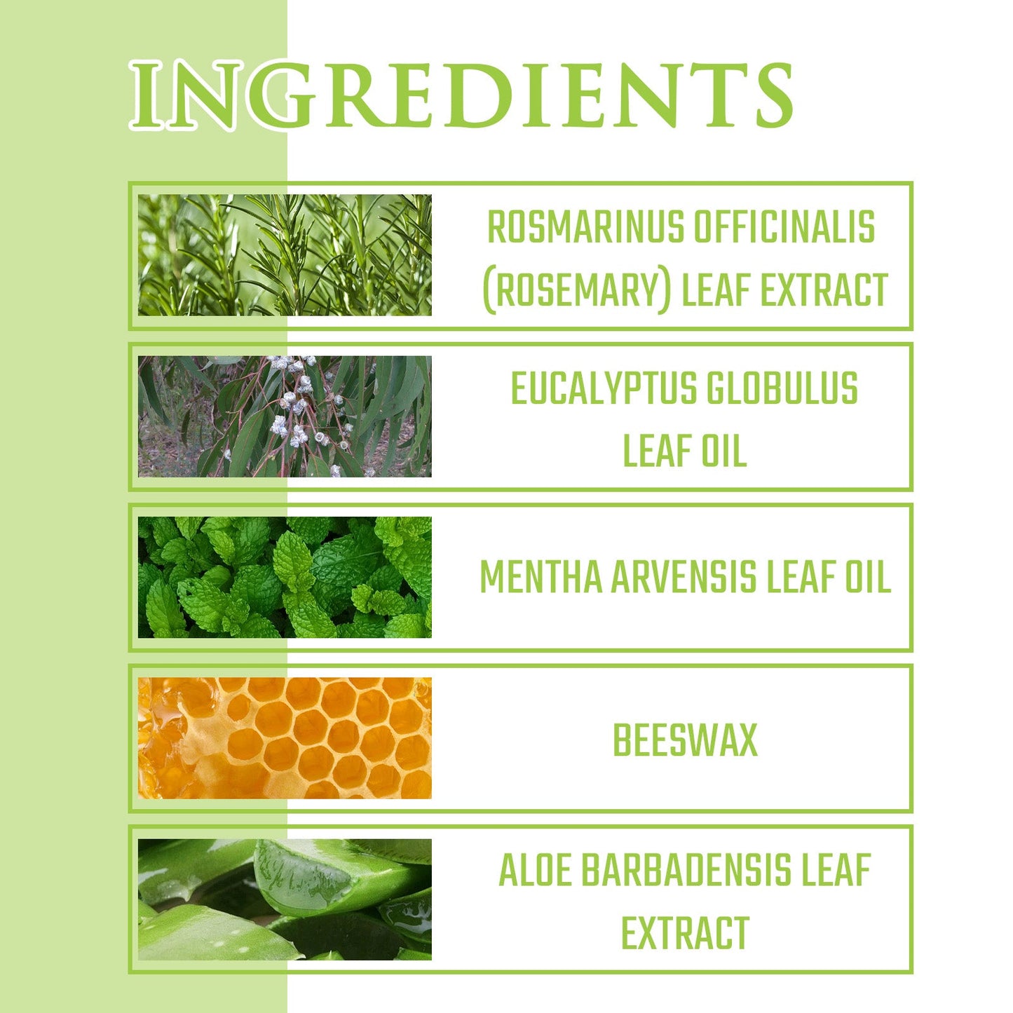 Wormwood Balm - Portable Skin Insect Repellent Cream