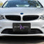 Epilepsy Awareness Vanity Plate – Purple Ribbon