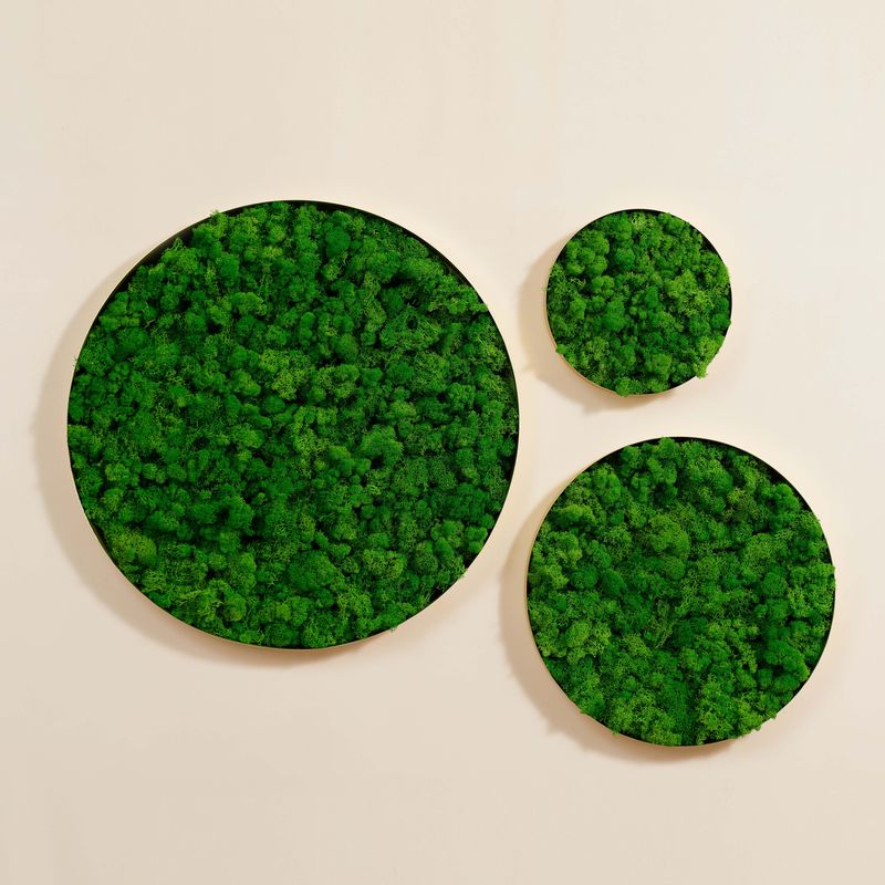 Round Framed Moss Wall Decor, only the Large - Korvel