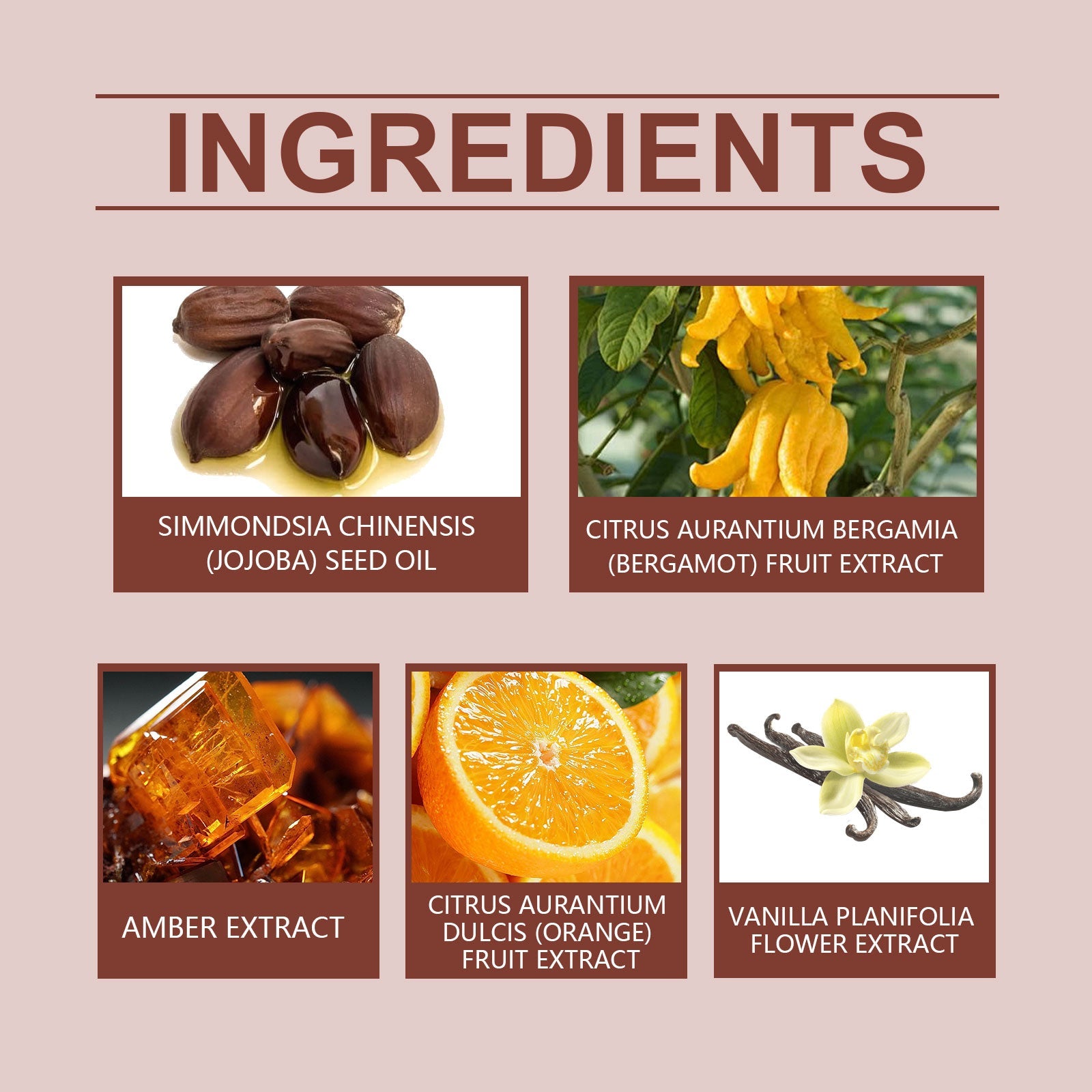 Jojoba Perfume Oil Jojoba Perfume Ball Cologne Lasting Fragrance Fresh Fragrance Light Elegant Perfume - Korvel