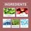 Exfoliating And Brightening Serum, Moisturizing, Cleansing, Hydrating And Brightening Facial - Korvel