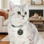 Political Parody Cat Collar Tag – Fantastic Cat, Total Winner