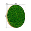 Round Framed Moss Wall Decor, only the Large - Korvel