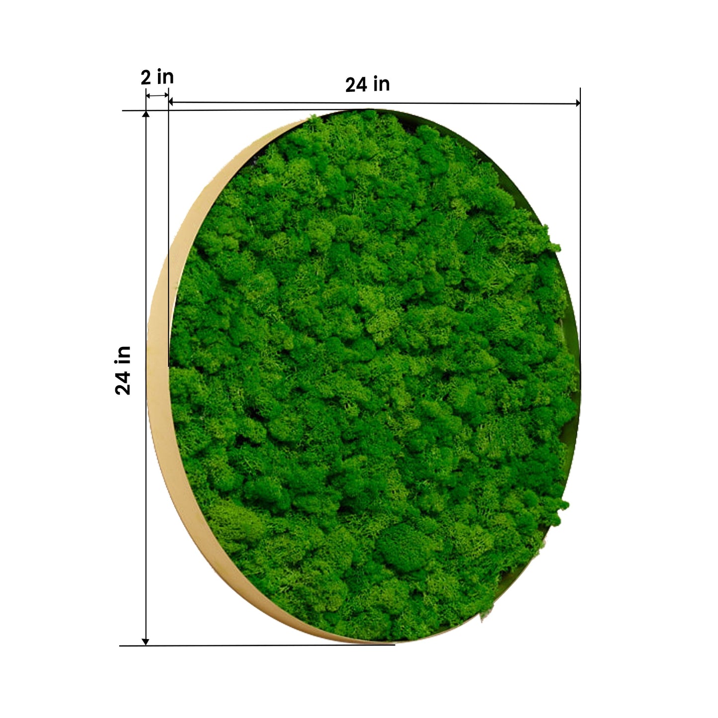 Round Framed Moss Wall Decor, only the Large - Korvel