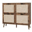 4-Door Freestanding Modern Shoe Rack for Entryway