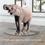 36" Inch Round Tempered Glass Table Top Clear Glass 1/4" Inch Thick Flat Polished Edge - Korvel