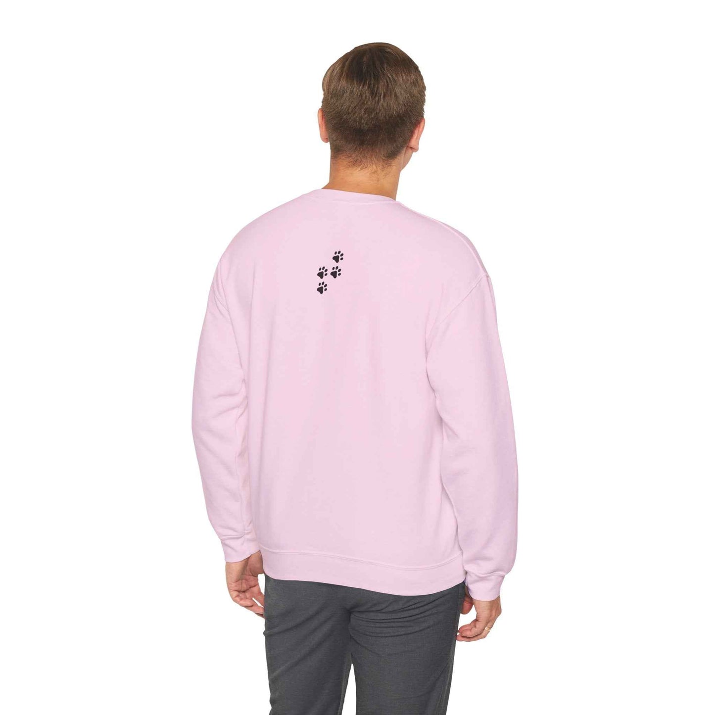 Rendre l'Amérique Purr à Nouveau Sweatshirt Parodique de Chat