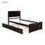 Platform Bed with Twin Size Trundle, Twin Size Frame, Espresso - Korvel