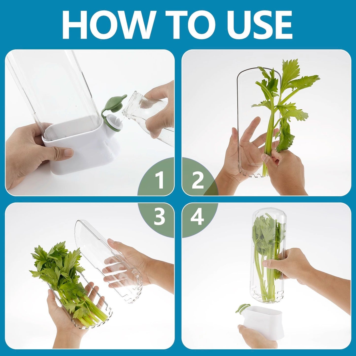 Vanilla vegetable fresh-keeping box pressure resistant fresh-keeping device creative fresh-keeping cup - Korvel