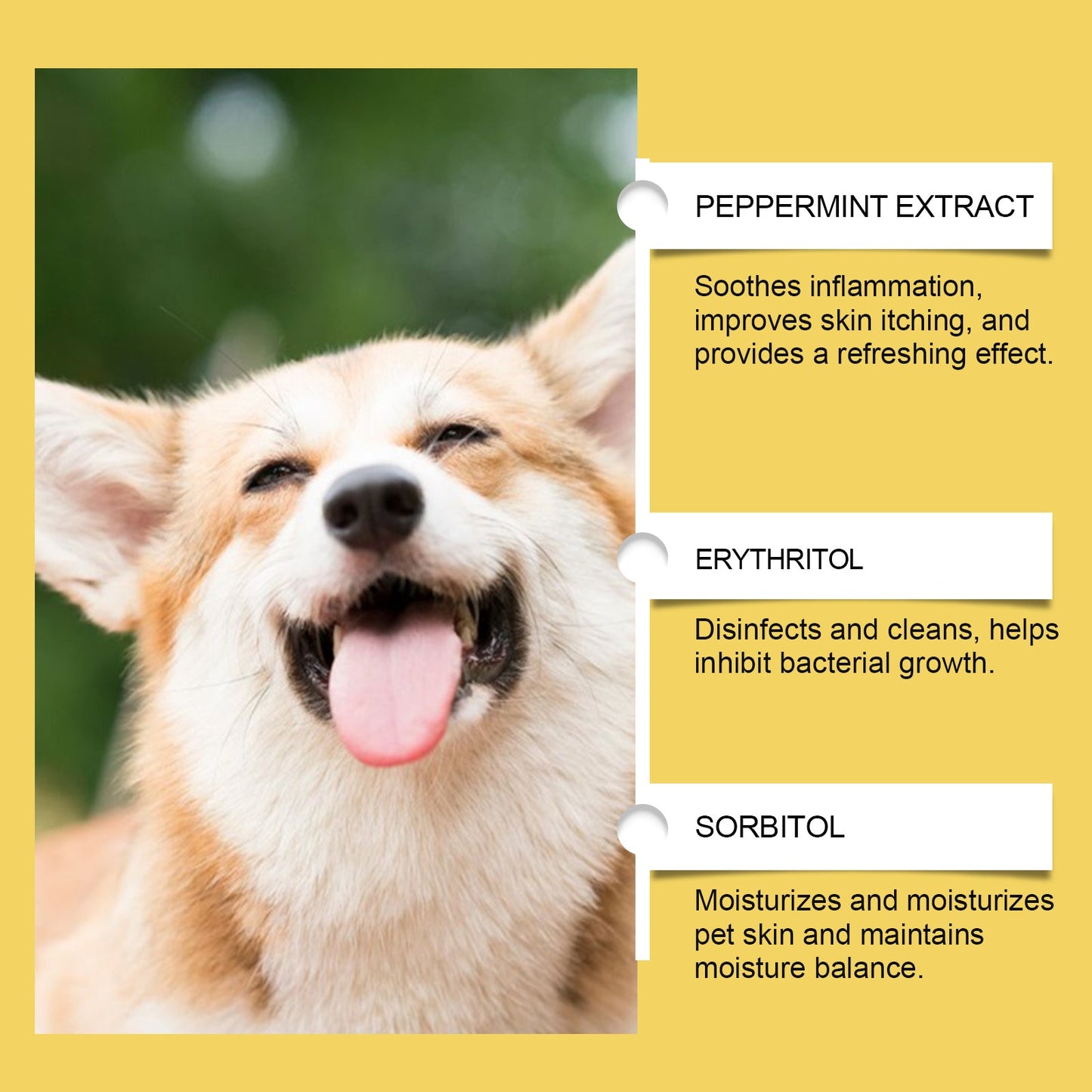 Supplément Herbal Premium pour les Soins de la Peau des Animaux