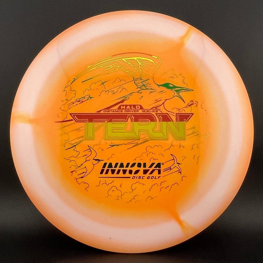 Innova Halo Star Tern Disc Golf Driver
