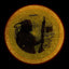 Particle Glow Proton Virus - PDGA Champions Cup 2025