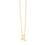 14K Yellow Gold Leo Necklace
