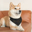 Love Line Art Dog Bandana – Elegant Pet Accessory