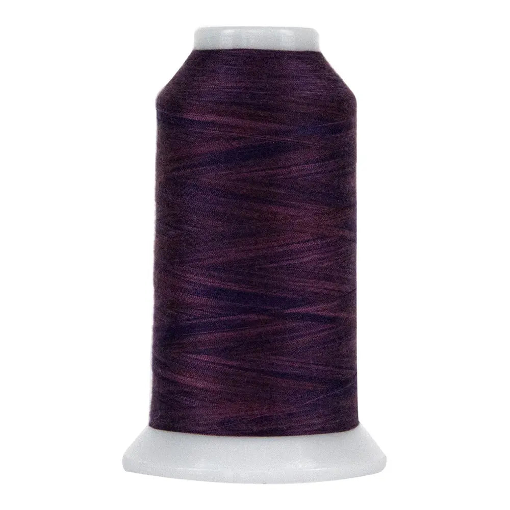 Fil en polyester variegé Smokey Mountains Omni 9053
